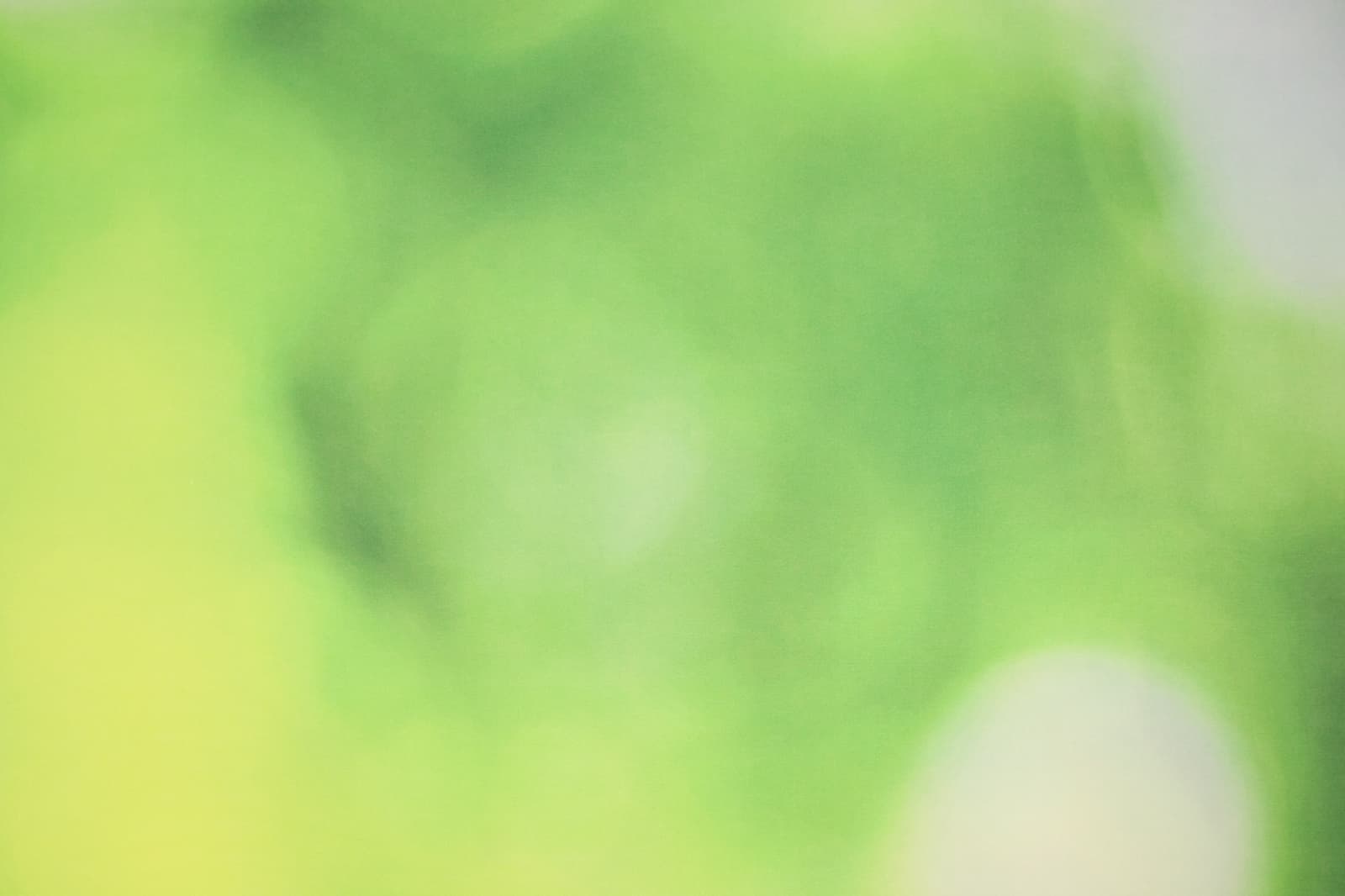 Grüner Hintergrund