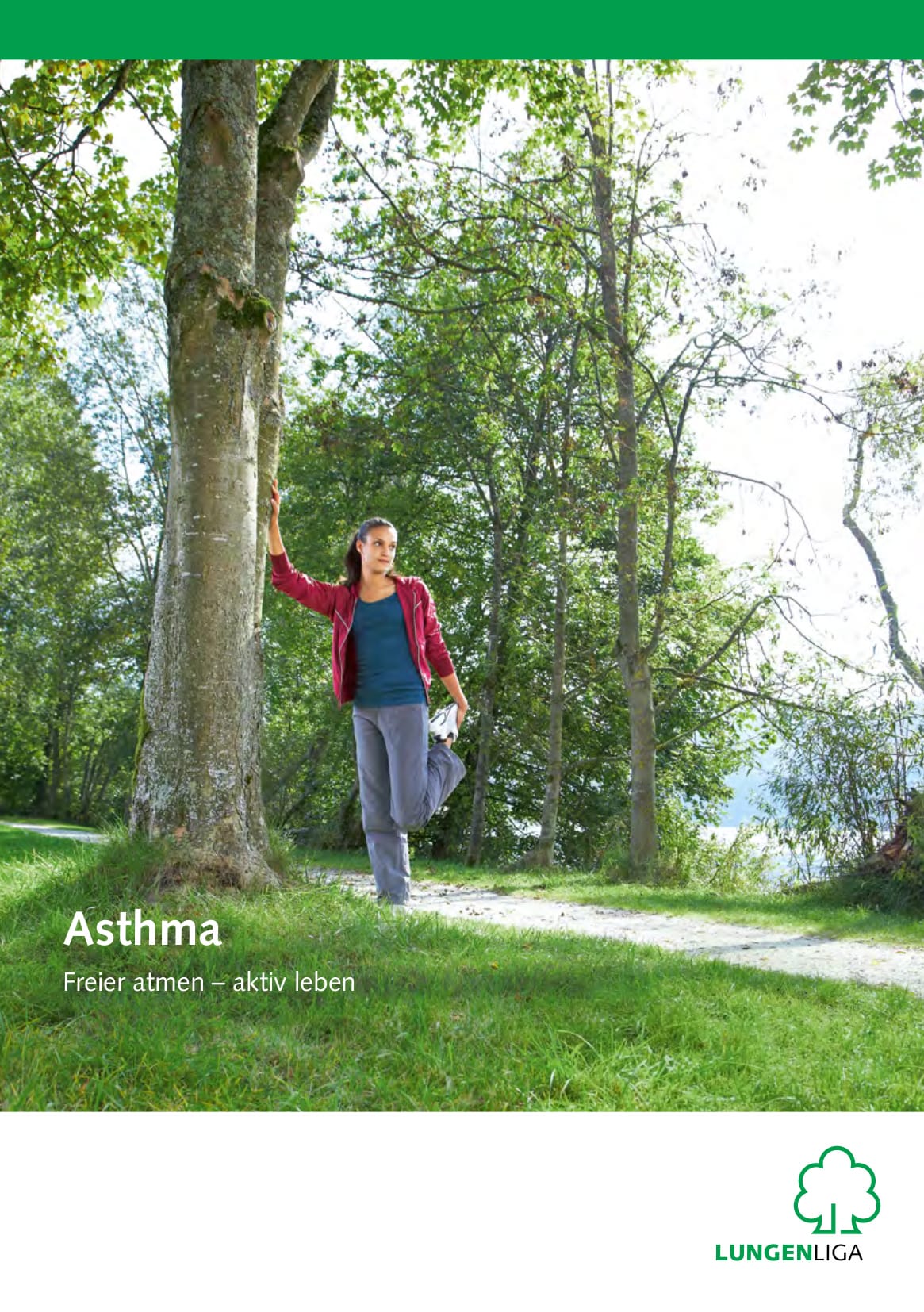asthma_broschuere.pdf