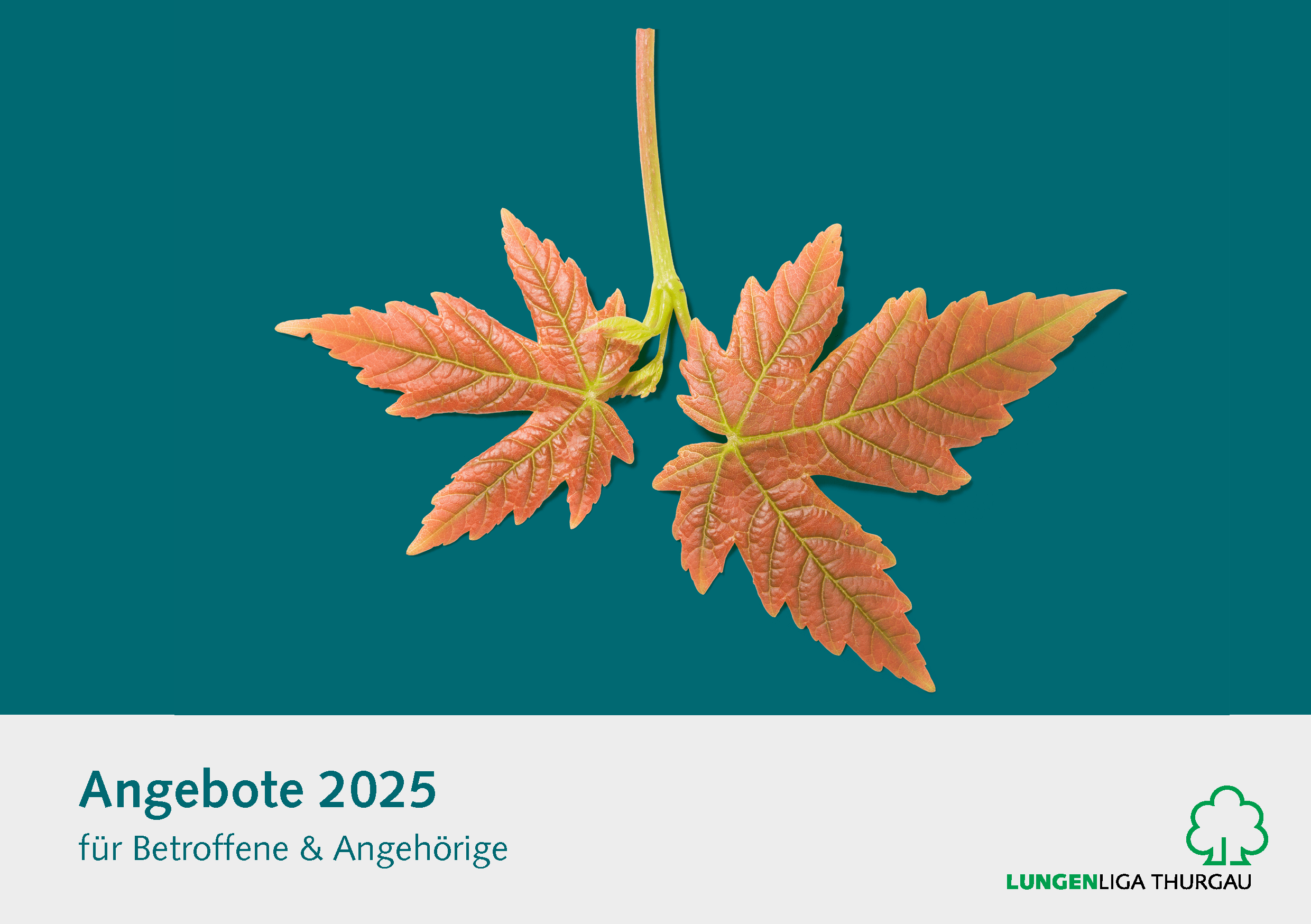 Kursprogramm 2025