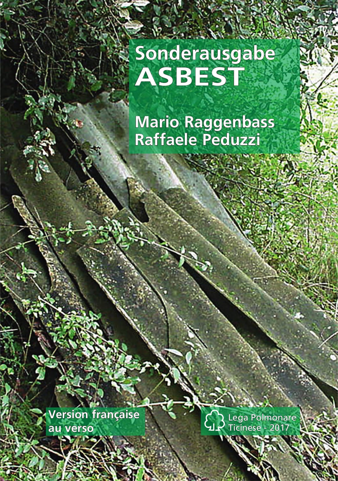 asbest.pdf