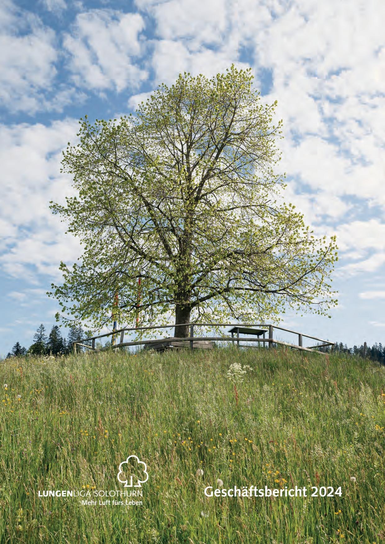 Titelblatt Geschäftsbericht Baum in der Natur