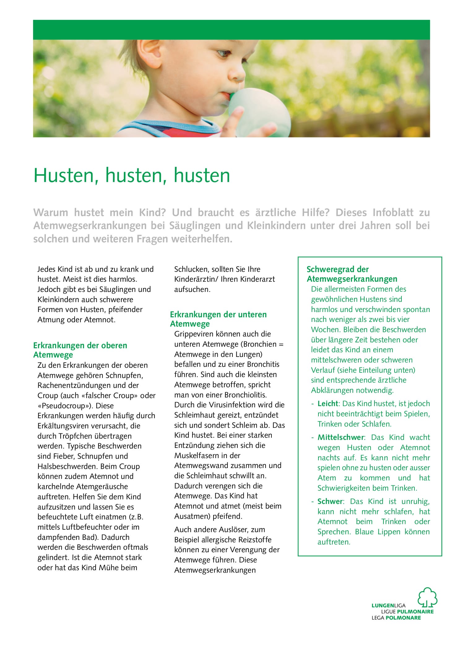 infoblatt_husten_husten.pdf