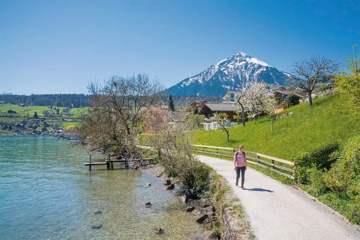Uferweg Spiez - Faulensee