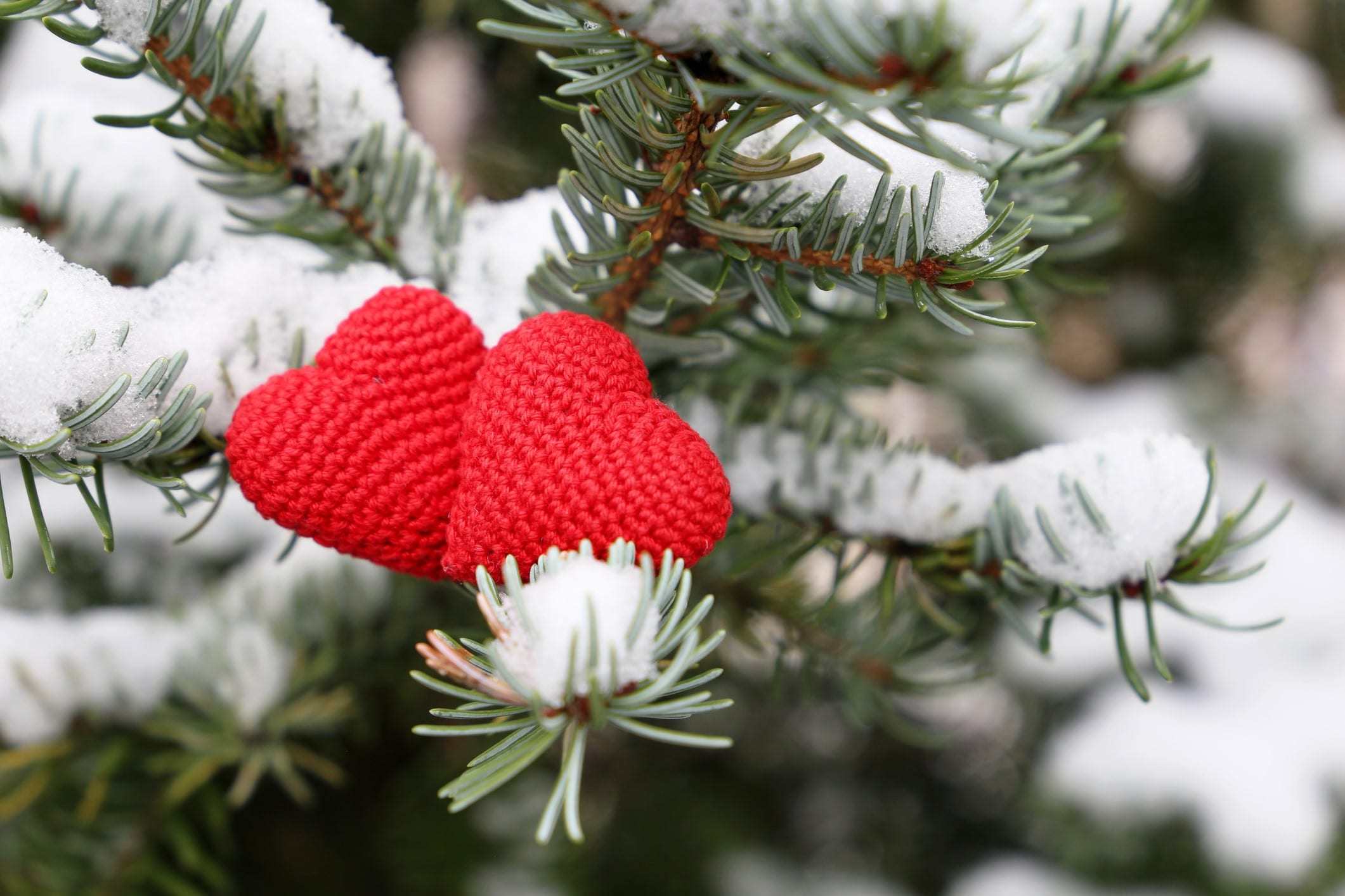 Weihnachten_Spenden Tanne mit Schnee und kleinen Herzen