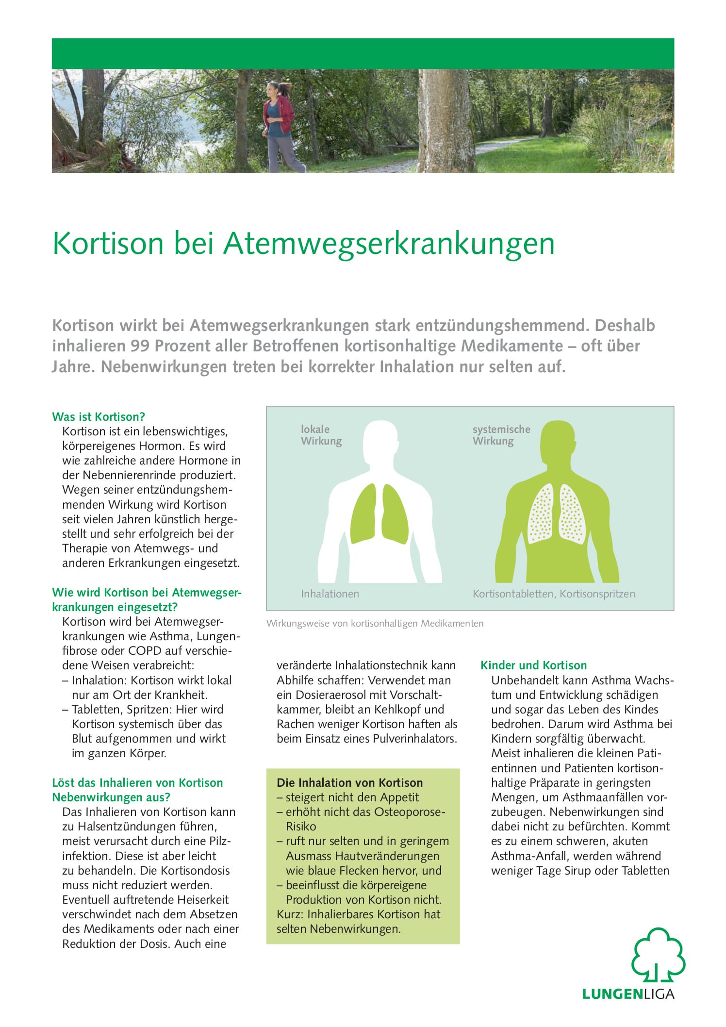 infoblatt-kortison.pdf