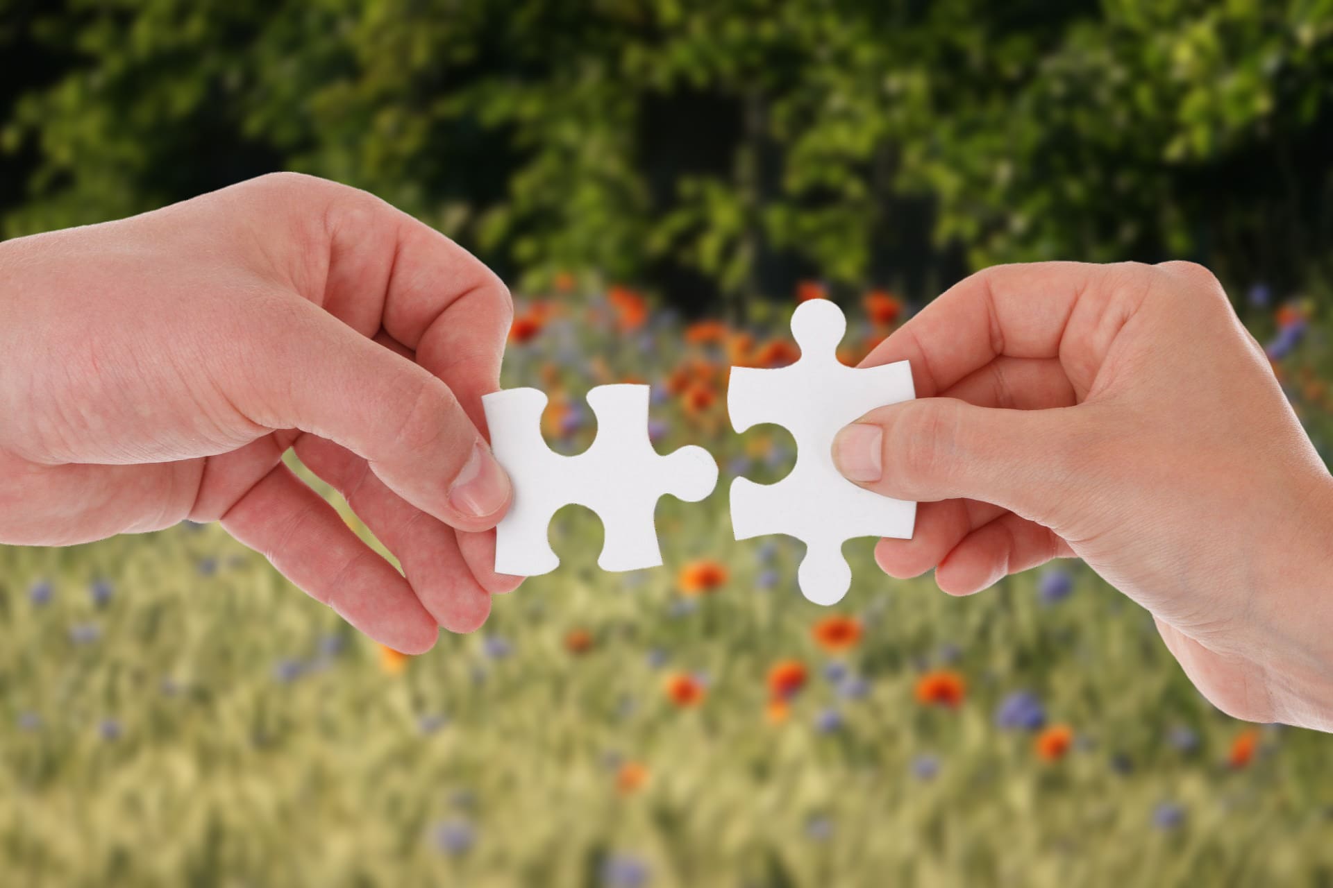 Zwei Hände halten je ein Puzzleteil