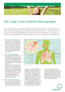 infoblatt_die_lunge.pdf