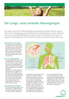 infoblatt_die_lunge.pdf