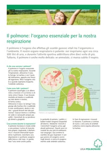 foglio_informativo_il_polmone.pdf